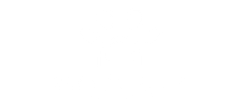 DonDoggy